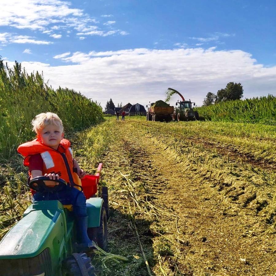 Ruyge Weyde Logies, Eco Farm Apartment Oudewater Екстериор снимка